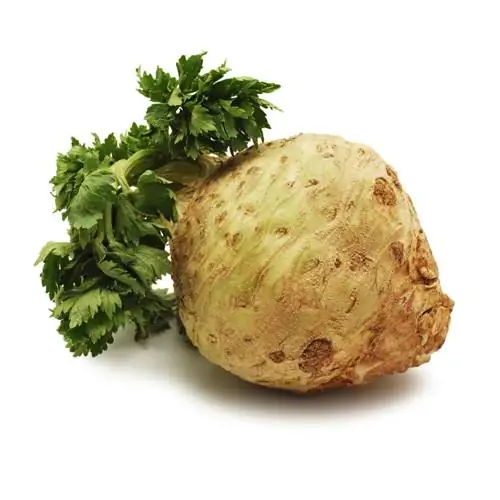 Celery Types: Everything about celeriac and celery stalks