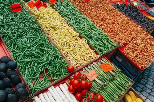 Varieti kacang: Temui pelbagai jenis sayur-sayuran yang popular