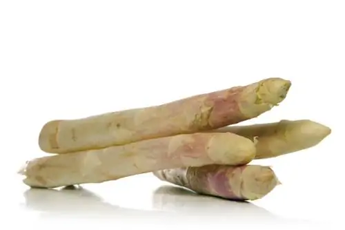 menggali asparagus