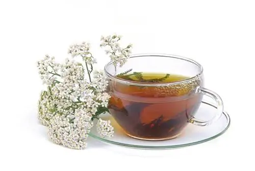 Achillea commestibile: delicatezza e rimedio allo stesso tempo?