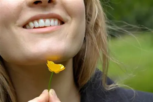 The fascinating meaning and symbolism of the buttercup