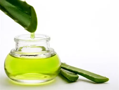 Khaws aloe vera