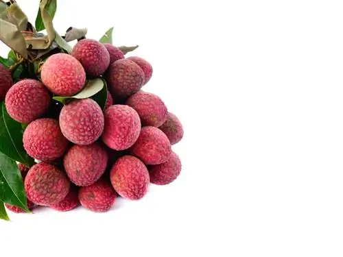 Lychee oorsprong