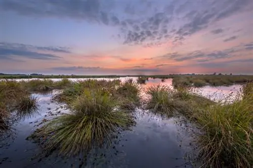 L'acqua scorre a cavatappi