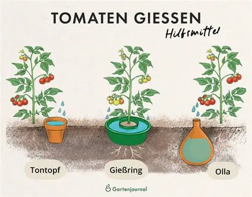 Herramientas para regar tomates a modo de ilustración.