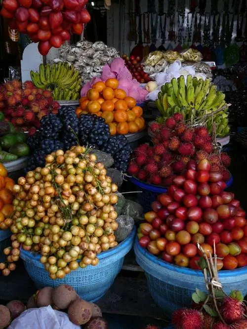 Lychee domates yetiştiriciliği