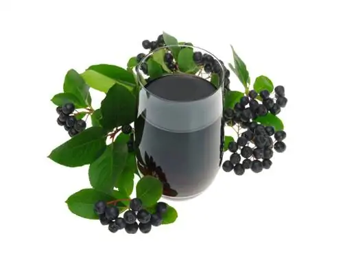 Aronia – Aronia: cultivo y cosecha en tu propio jardín