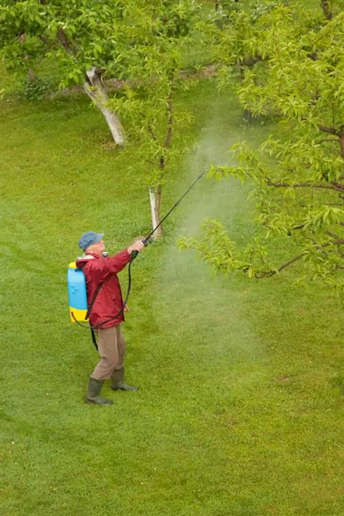 Ferskentræspray: hvilke er effektive og sikre?