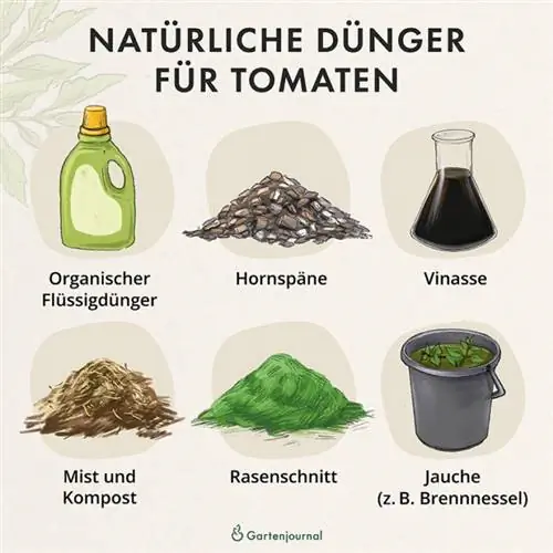 Fertilizer for tomatoes as an illustration