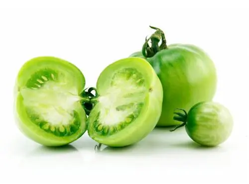 Harvesting green tomatoes: When and how to do it correctly