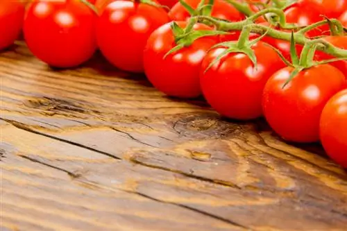 Planting cherry tomatoes: tips for successful growth