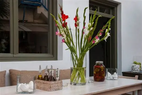 Gladiolus in the vase: This keeps them fresh for a long time