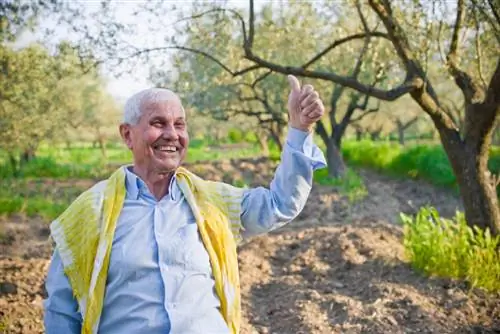 Zeytun ağacı torpağı