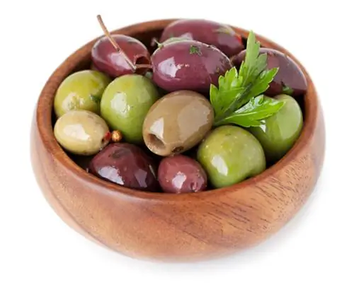 Olive varieties: Discover diversity from all over the world