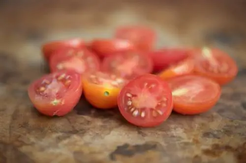 Variedad de tomate precoz Matts Wild Cherry