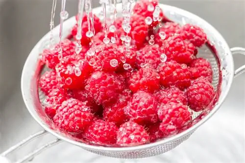 Wash raspberries