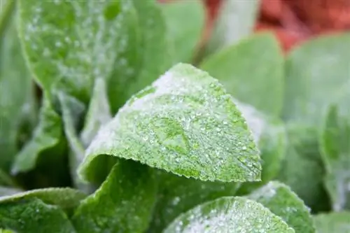 L'acqua è più bella