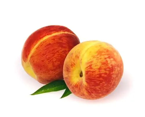 Peach Revita: variedade resistente para o seu jardim