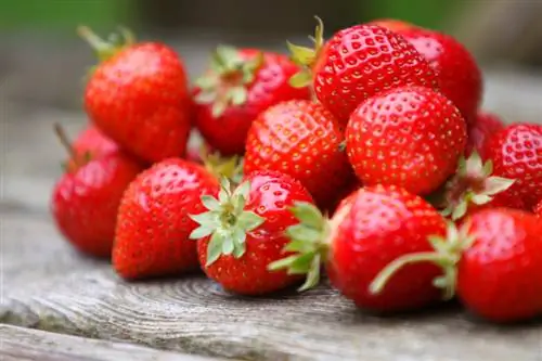 Fraises, noix ou fruits