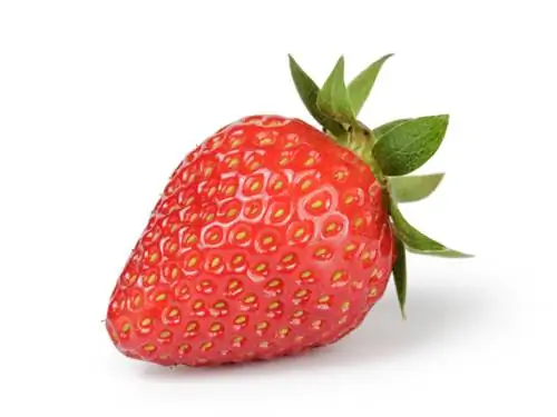 Biji strawberi