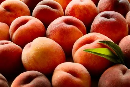 Aina za Peach