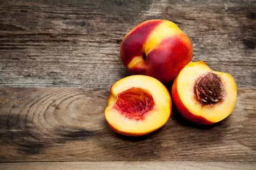 Peach Cardinal: Segala sesuatu tentang variasi & resep langka