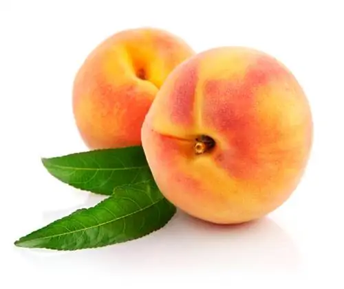 Peach Suncrest: dideli, saldūs vaisiai ir tvirti