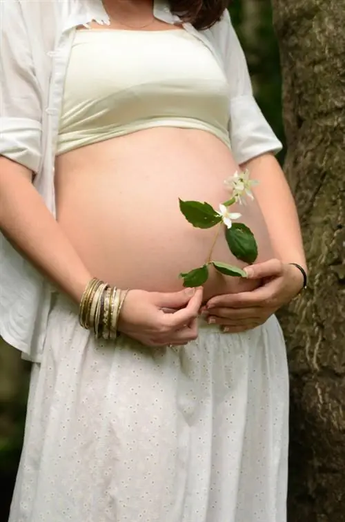 Jasmijnbloem: betekenis, symboliek en mogelijke toepassingen