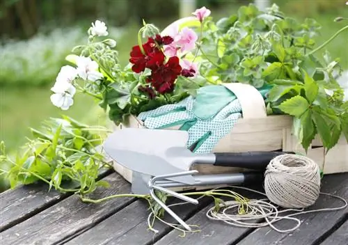 Hanggeraniums zijn winterhard