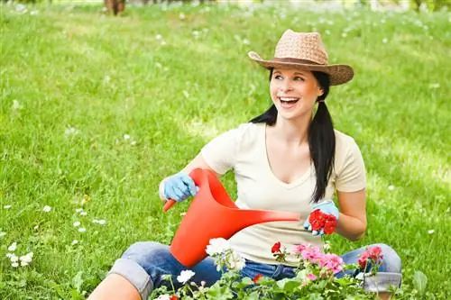 De optimale verzorging voor geraniums - voor langdurige bloei