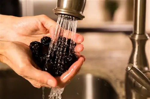 Wash blackberries