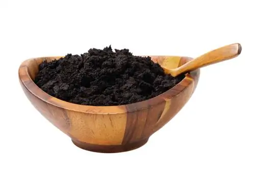 Why coffee grounds are good for your geraniums: nutrients and tips