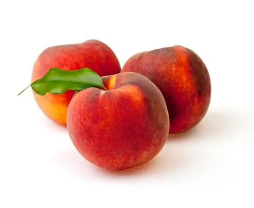 Red Vineyard Peach: Ontdek die "Vrug van die gode"