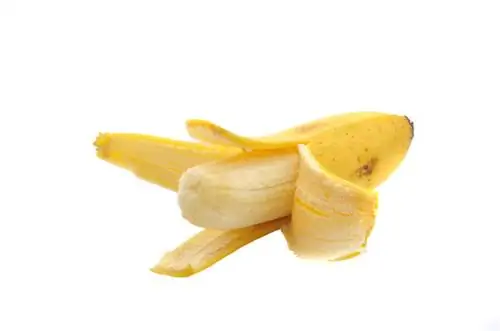 Banaanin siemenet