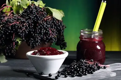 Pagluluto ng elderberry: Ganito mo ginagawang masarap na pagkain ang mga berry