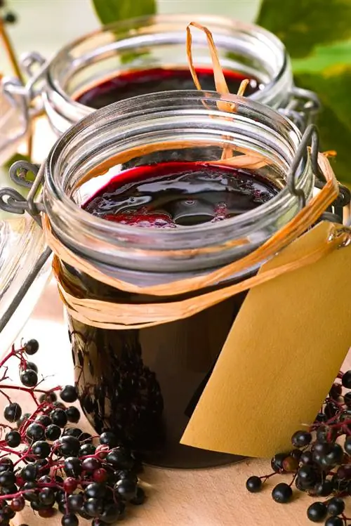 Refreshing elderflower syrup: Simply make it yourself