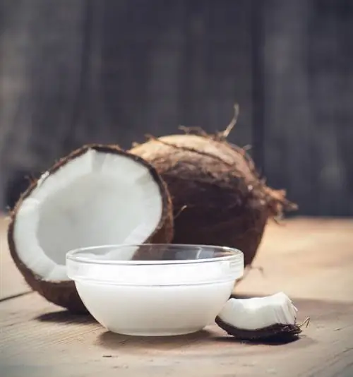 Apprenez à connaître les types de noix de coco : de boire à manger des noix de coco