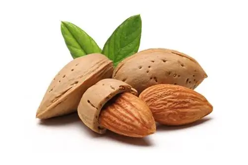 Focus on almonds: nut or fruit?