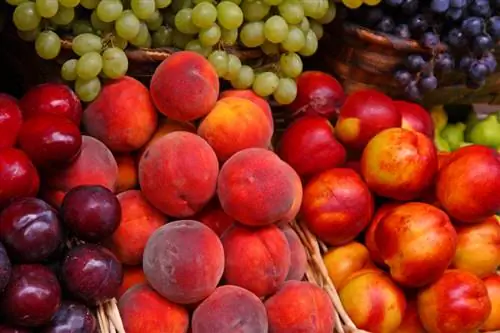 Perzik of nectarine? Ontdekking van een smakelijke mutatie