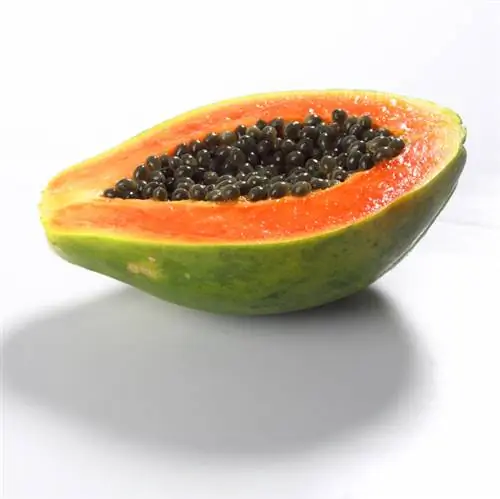 papaya madura