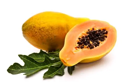 Maaari bang kumain ng papaya ang mga aso? Epekto at Pagtitiis