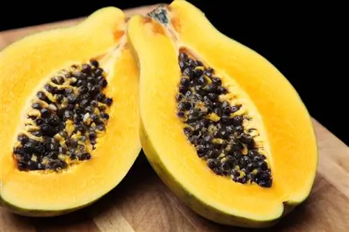 Fruta o verdura de papaya