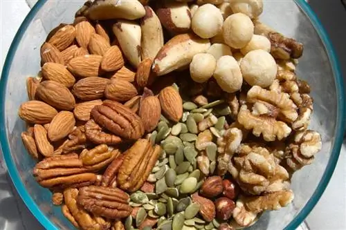 Noci del Brasile e noci pecan: differenze, origini e nutrienti