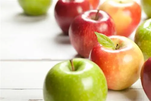 Dessert apple varieties: The best varieties for every taste