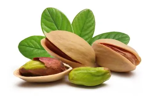 Pistachios para sa mga aso