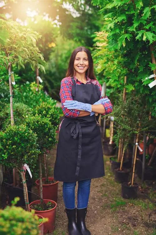 Costos del árbol de liquidámbar americano