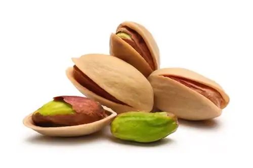 Plantar pistachos