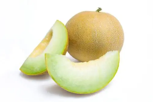 Honeydew melon origin