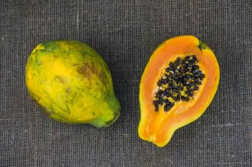 Papaya seeds are poisonous