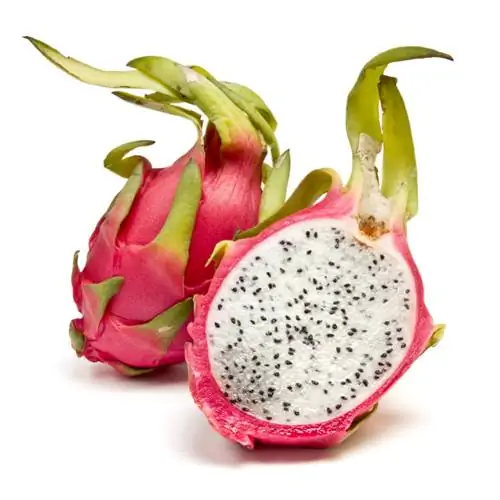 Setev semen dragon fruit